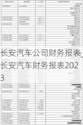 长安汽车公司财务报表_长安汽车财务报表2023