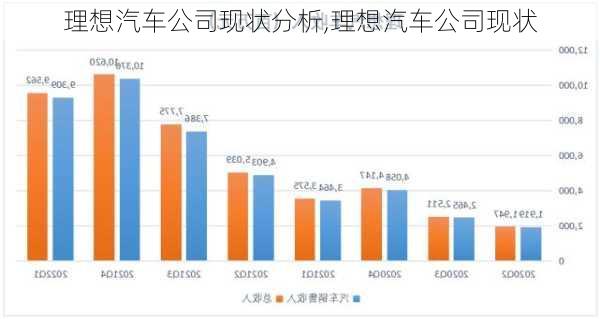 理想汽车公司现状分析,理想汽车公司现状