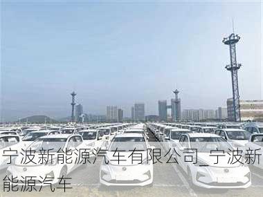 宁波新能源汽车有限公司_宁波新能源汽车