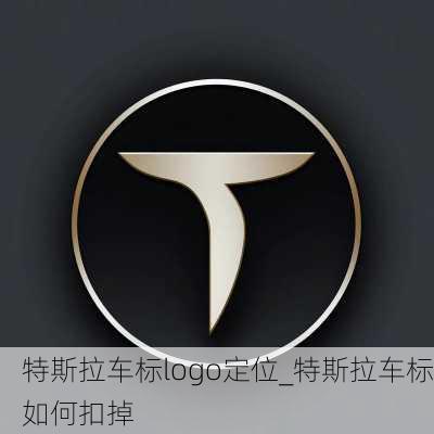 特斯拉车标logo定位_特斯拉车标如何扣掉