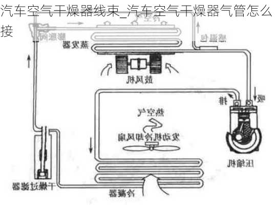 汽车空气干燥器线束_汽车空气干燥器气管怎么接