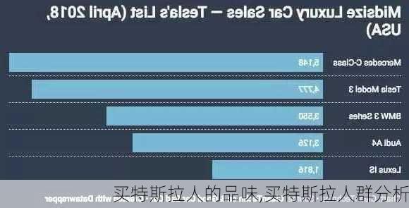 买特斯拉人的品味,买特斯拉人群分析