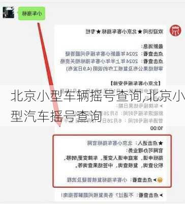 北京小型车辆摇号查询,北京小型汽车摇号查询