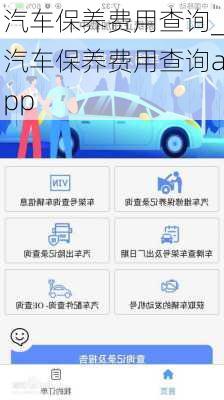 汽车保养费用查询_汽车保养费用查询app