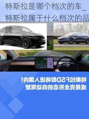 特斯拉是哪个档次的车_特斯拉属于什么档次的品牌