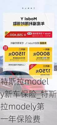 特斯拉modely新车保险_特斯拉modely第一年保险费