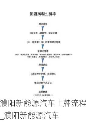 濮阳新能源汽车上牌流程_濮阳新能源汽车