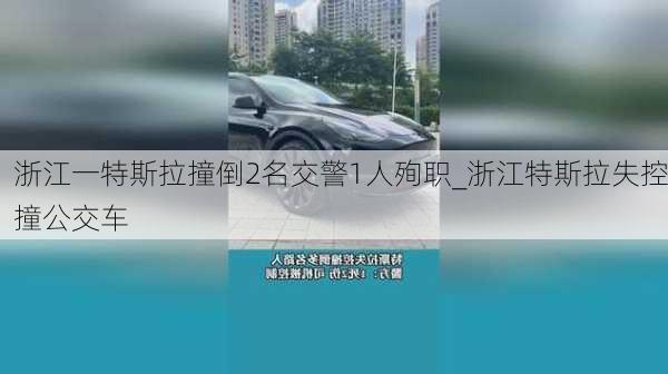 浙江一特斯拉撞倒2名交警1人殉职_浙江特斯拉失控撞公交车