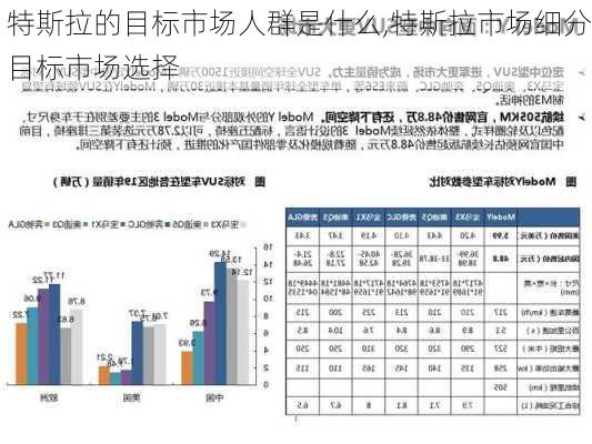 特斯拉的目标市场人群是什么,特斯拉市场细分目标市场选择