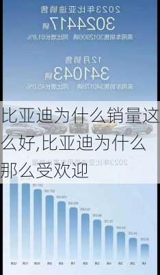 比亚迪为什么销量这么好,比亚迪为什么那么受欢迎