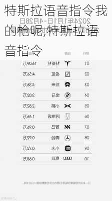 特斯拉语音指令我的枪呢,特斯拉语音指令