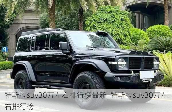 特斯拉suv30万左右排行榜最新_特斯拉suv30万左右排行榜