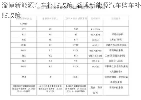 淄博新能源汽车补贴政策_淄博新能源汽车购车补贴政策