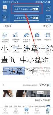 小汽车违章在线查询_中小型汽车违章查询
