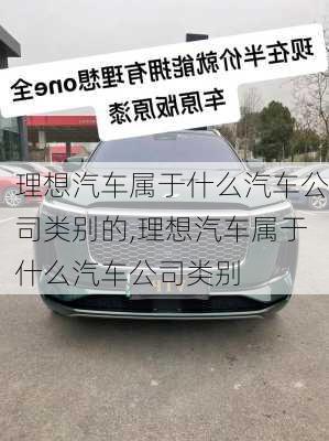 理想汽车属于什么汽车公司类别的,理想汽车属于什么汽车公司类别