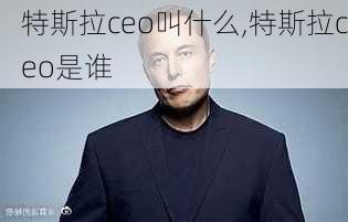 特斯拉ceo叫什么,特斯拉ceo是谁