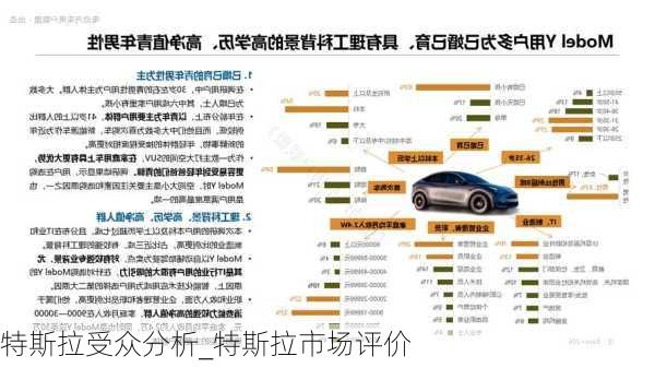 特斯拉受众分析_特斯拉市场评价