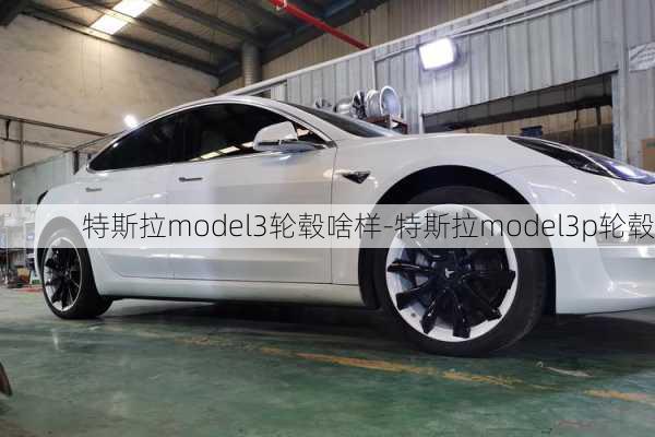 特斯拉model3轮毂啥样-特斯拉model3p轮毂