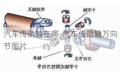 汽车传动轴在哪-汽车传动轴万向节图片