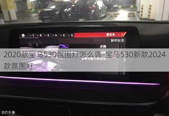 2020款宝马530氛围灯怎么调-宝马530新款2024款氛围灯