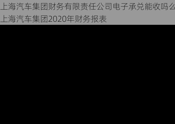 上海汽车集团财务有限责任公司电子承兑能收吗么-上海汽车集团2020年财务报表