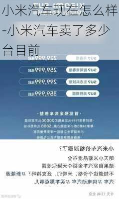 小米汽车现在怎么样-小米汽车卖了多少台目前