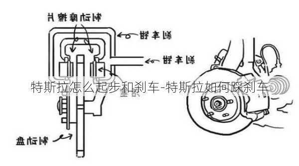 特斯拉怎么起步和刹车-特斯拉如何踩刹车