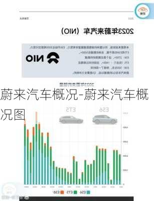 蔚来汽车概况-蔚来汽车概况图