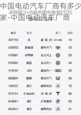 中国电动汽车厂商有多少家-中国电动汽车厂商