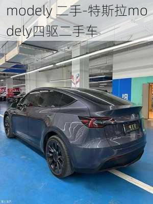 modely 二手-特斯拉modely四驱二手车