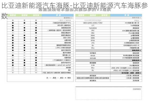 比亚迪新能源汽车海豚-比亚迪新能源汽车海豚参数