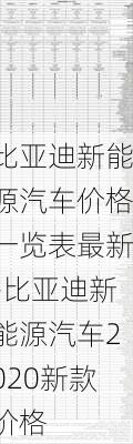 比亚迪新能源汽车价格一览表最新-比亚迪新能源汽车2020新款价格