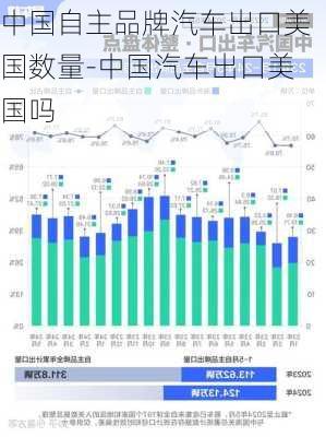 中国自主品牌汽车出口美国数量-中国汽车出口美国吗