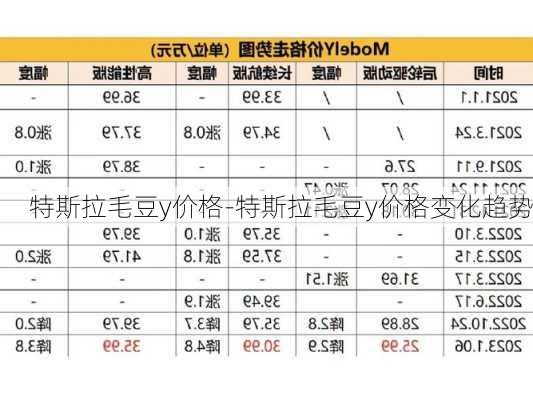 特斯拉毛豆y价格-特斯拉毛豆y价格变化趋势