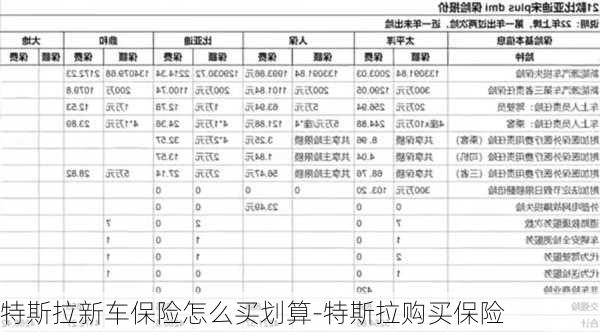 特斯拉新车保险怎么买划算-特斯拉购买保险