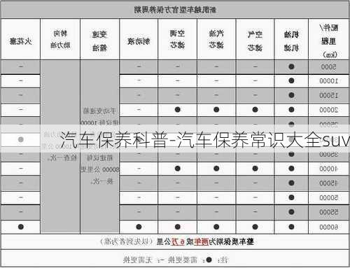 汽车保养科普-汽车保养常识大全suv