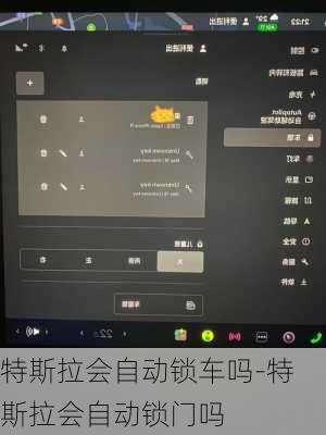 特斯拉会自动锁车吗-特斯拉会自动锁门吗