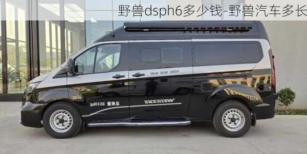 野兽dsph6多少钱-野兽汽车多长