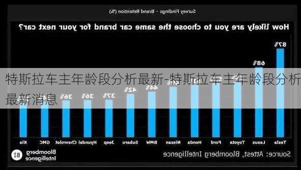 特斯拉车主年龄段分析最新-特斯拉车主年龄段分析最新消息