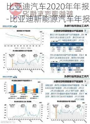 比亚迪汽车2020年年报-比亚迪新能源汽车年报