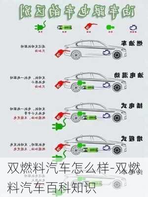 双燃料汽车怎么样-双燃料汽车百科知识