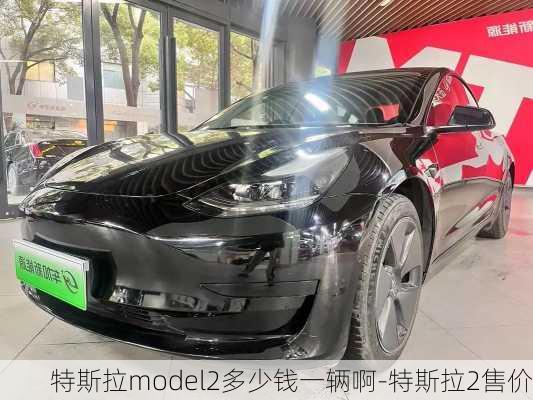 特斯拉model2多少钱一辆啊-特斯拉2售价