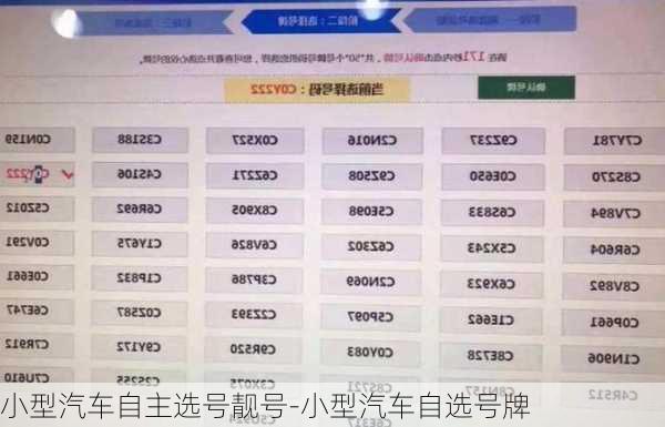 小型汽车自主选号靓号-小型汽车自选号牌