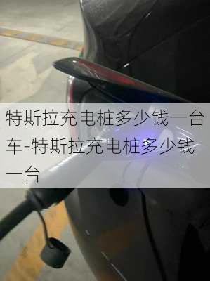 特斯拉充电桩多少钱一台车-特斯拉充电桩多少钱一台