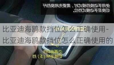 比亚迪海鸥款挡位怎么正确使用-比亚迪海鸥款挡位怎么正确使用的