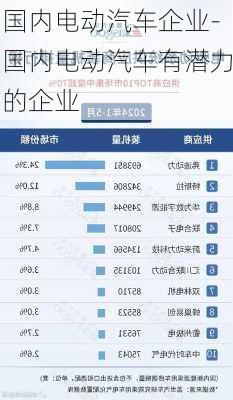 国内电动汽车企业-国内电动汽车有潜力的企业