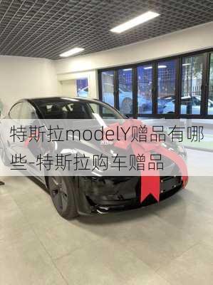 特斯拉modelY赠品有哪些-特斯拉购车赠品