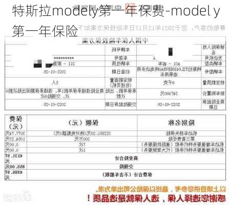 特斯拉modely第一年保费-model y第一年保险