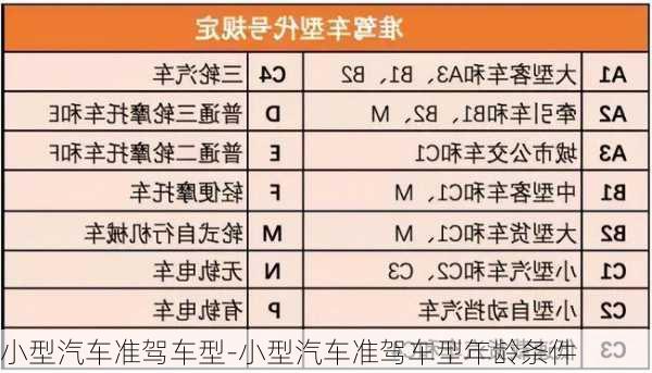 小型汽车准驾车型-小型汽车准驾车型年龄条件