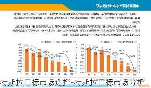 特斯拉目标市场选择-特斯拉目标市场分析